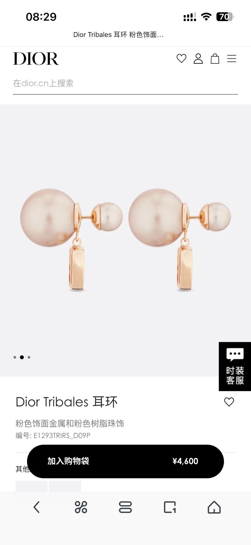 Christian Dior Earrings